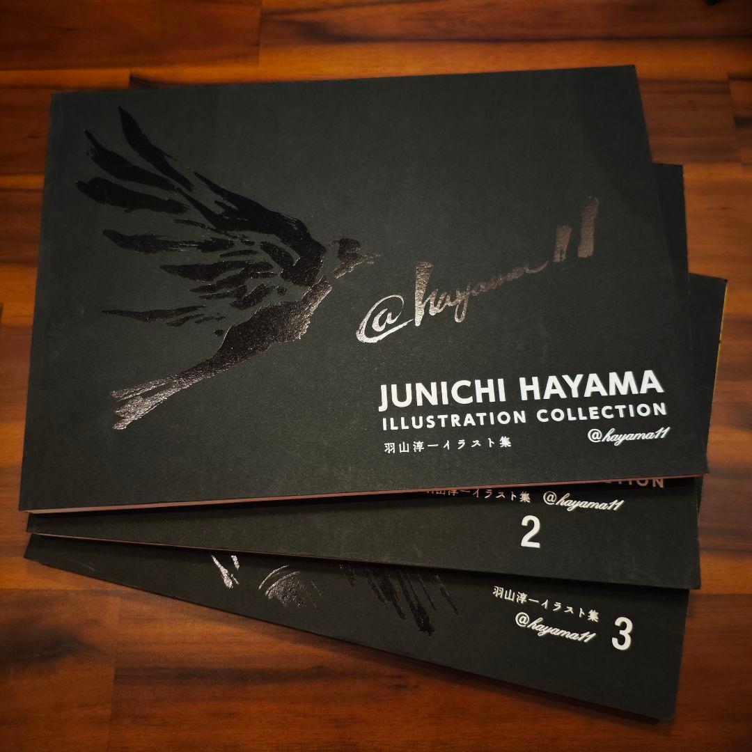 【3冊セット】羽山淳一 イラスト集 画集 作品集