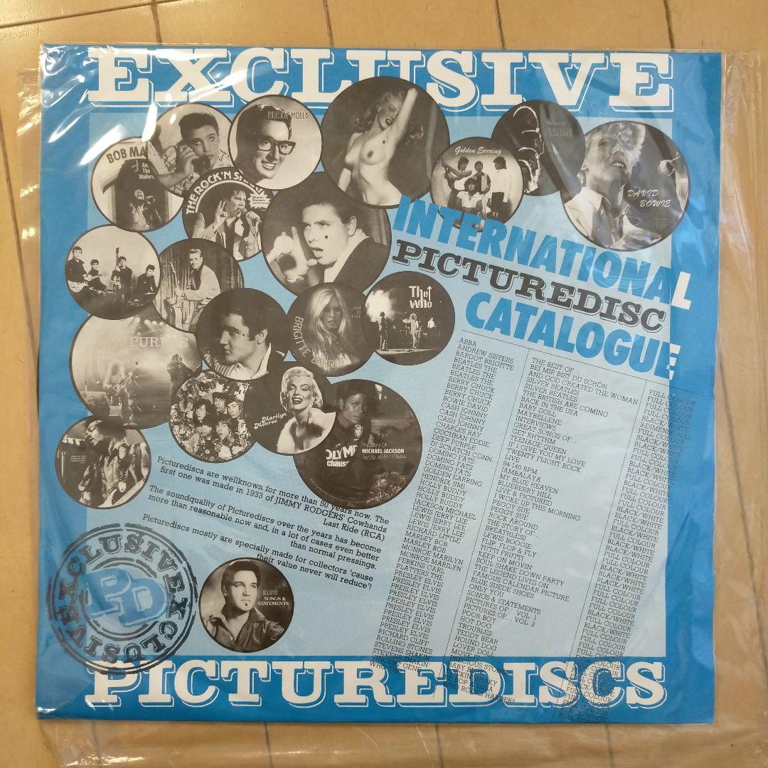 The Beach Boys Surfin' Safari ピクチャーディスク