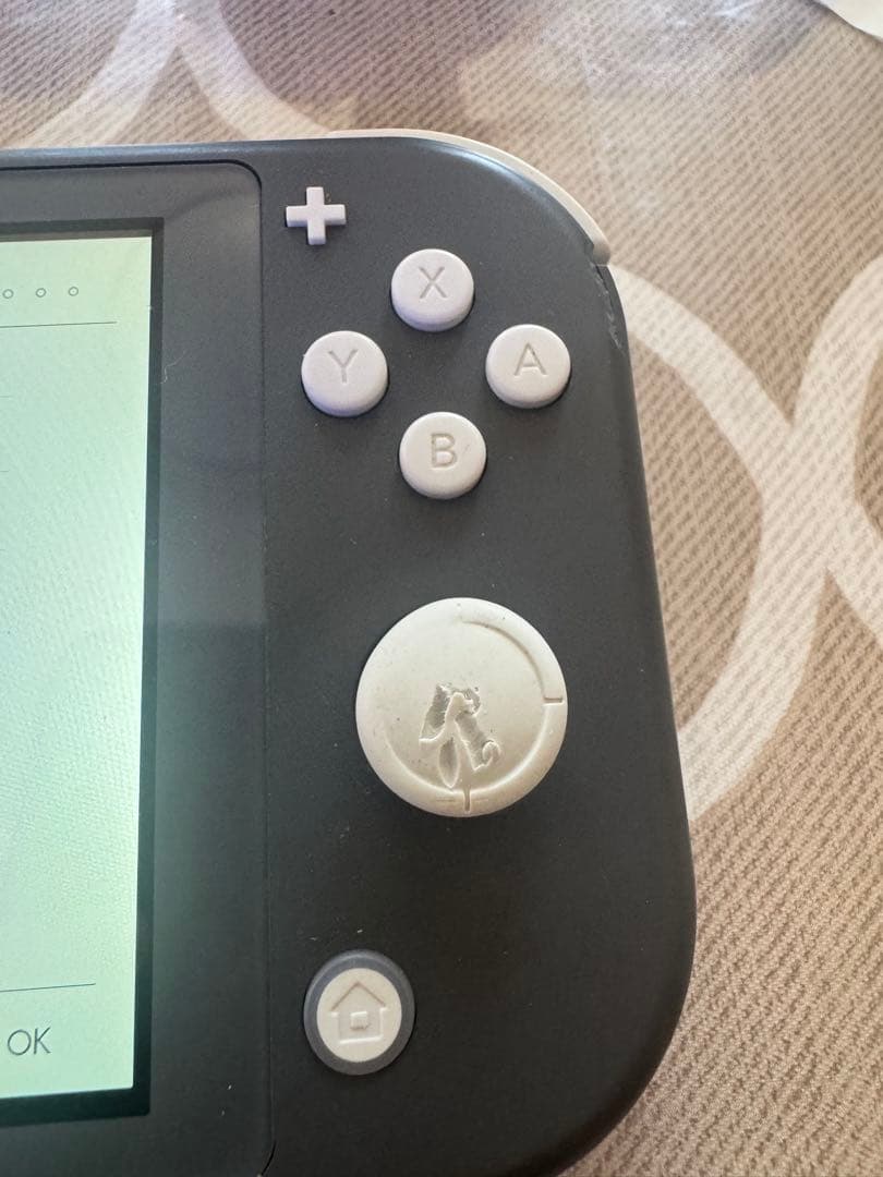 Nintendo Switch Lite GRAY (ジャンク)