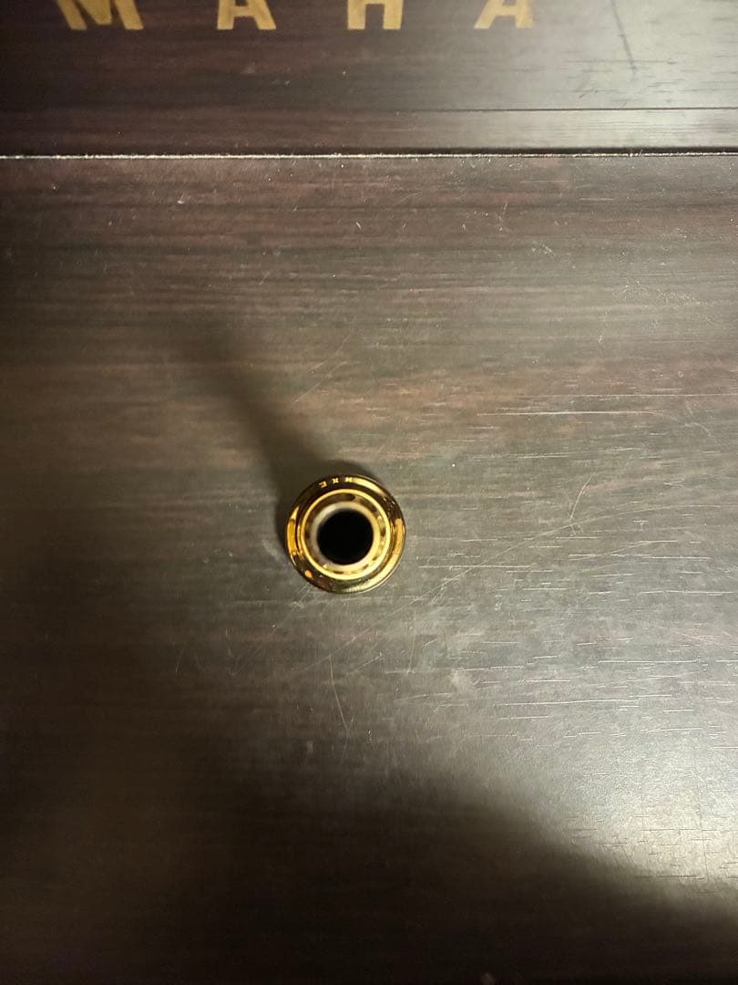 BUZZ様Lotusトランペットマウスピース 2M ブラス