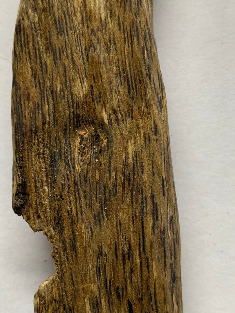 極上緑油伽羅 沈香原木 香木 重さ:37.3g (高ランク本物証明)