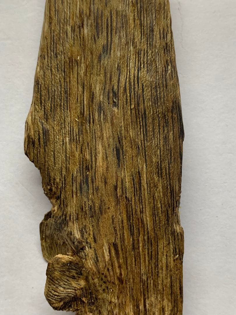 極上緑油伽羅 沈香原木 香木 重さ:37.3g (高ランク本物証明)