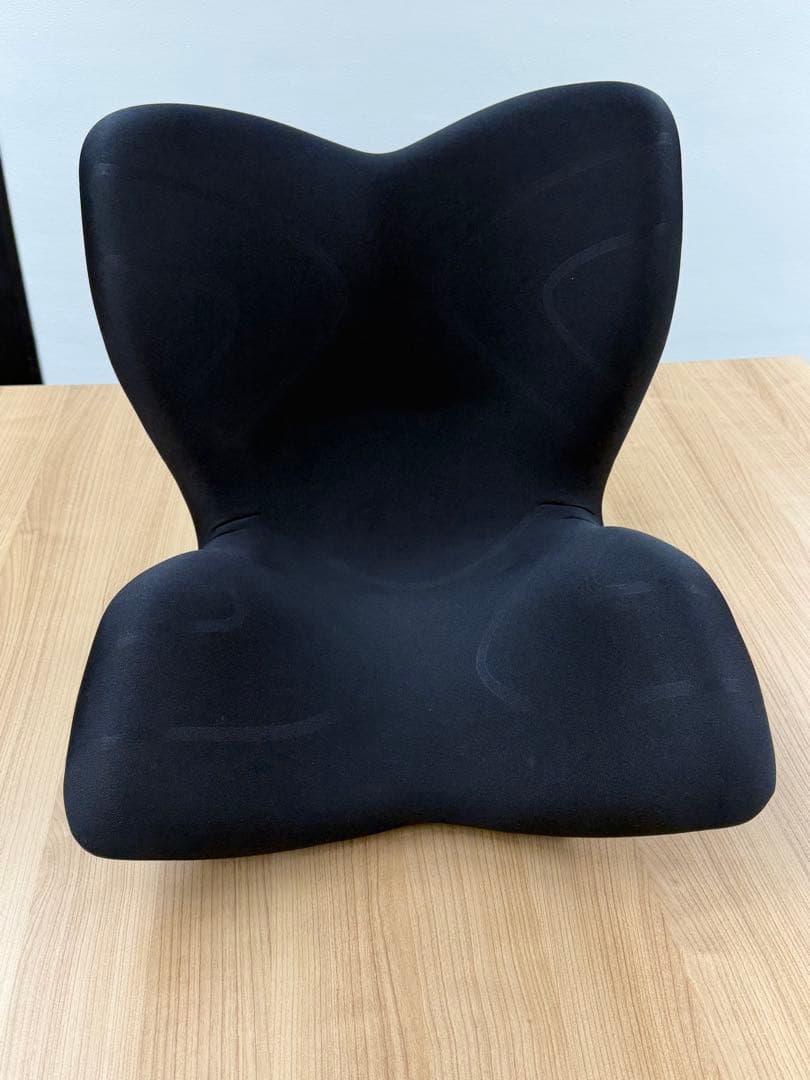 Style PREMIUM 骨盤・姿勢矯正クッション