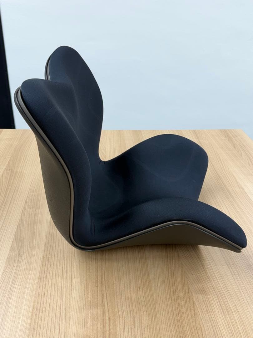 Style PREMIUM 骨盤・姿勢矯正クッション