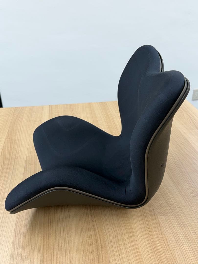 Style PREMIUM 骨盤・姿勢矯正クッション