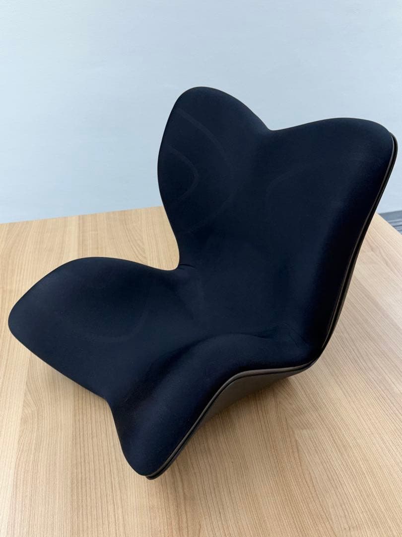 Style PREMIUM 骨盤・姿勢矯正クッション