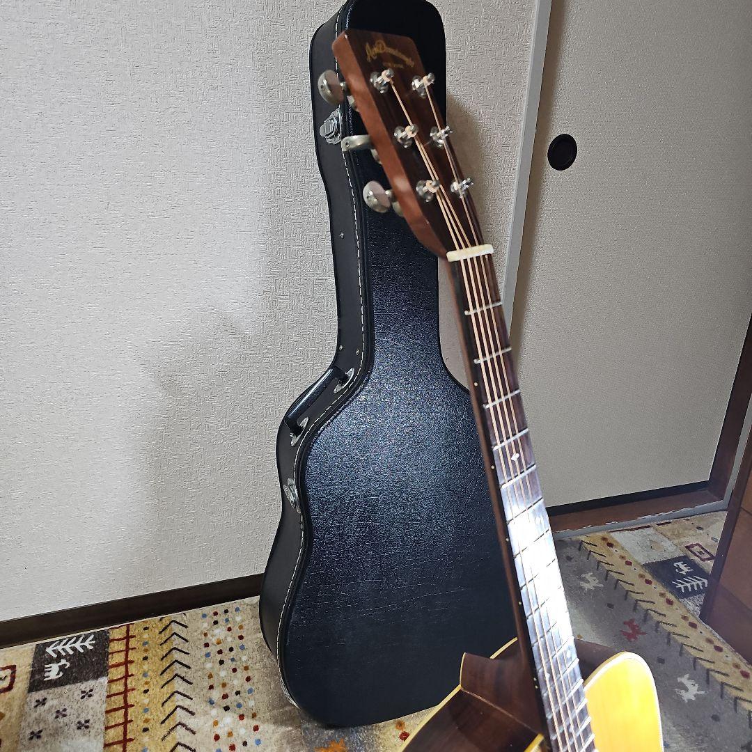 Aria.DreadnoughtAD-50トップ、バック単板! ハードケース付き