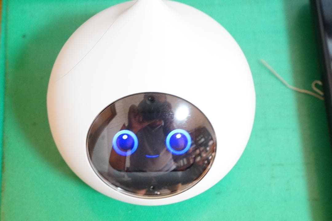 Romi（ロミィ）AIコミュニケーションロボット（モデルＰ０２）
