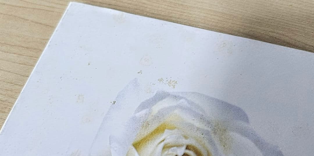 ベルサイユのばら DVD-BOX 1&2