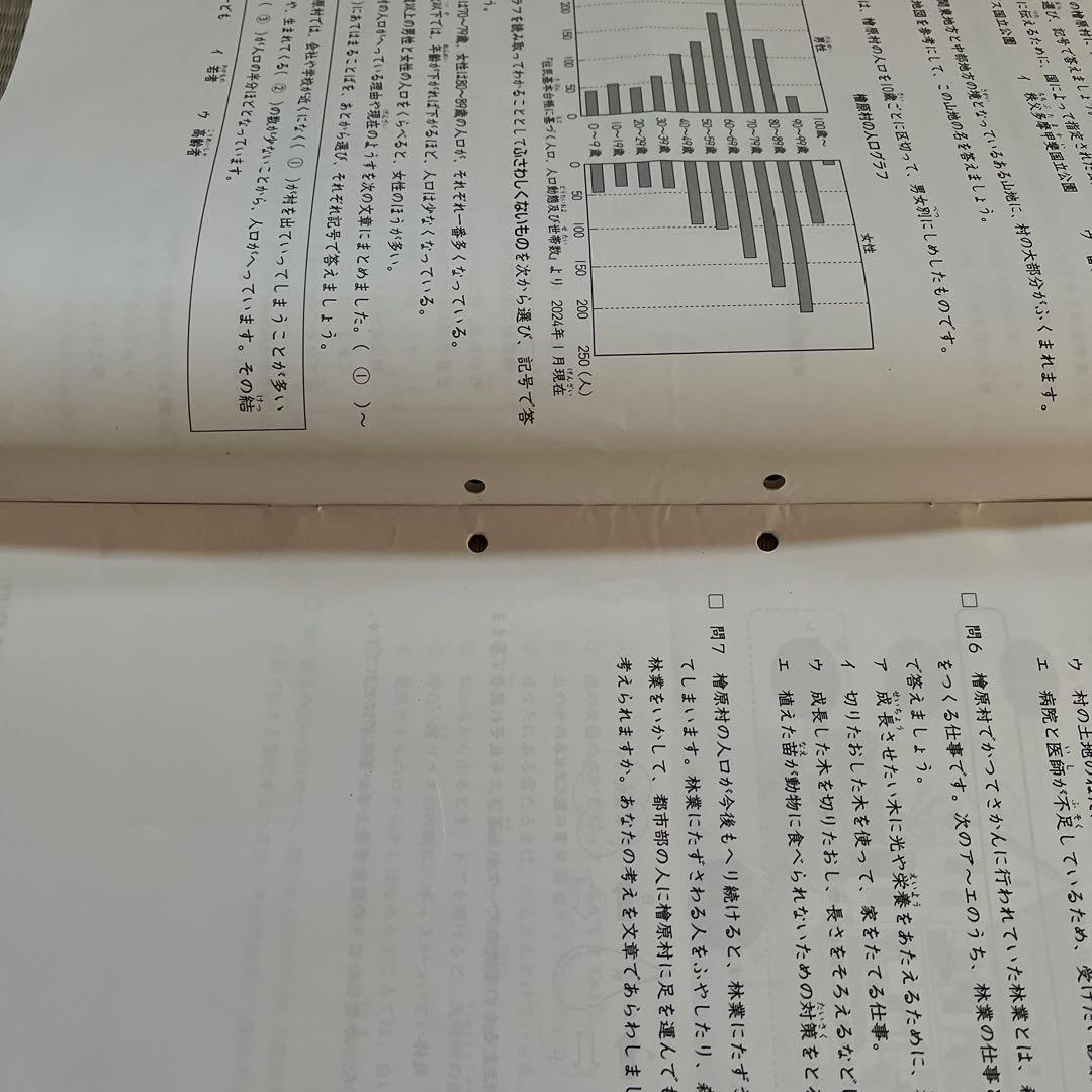 2025年 日能研 4年 ステージⅡ 育成テスト【前期】4科目
