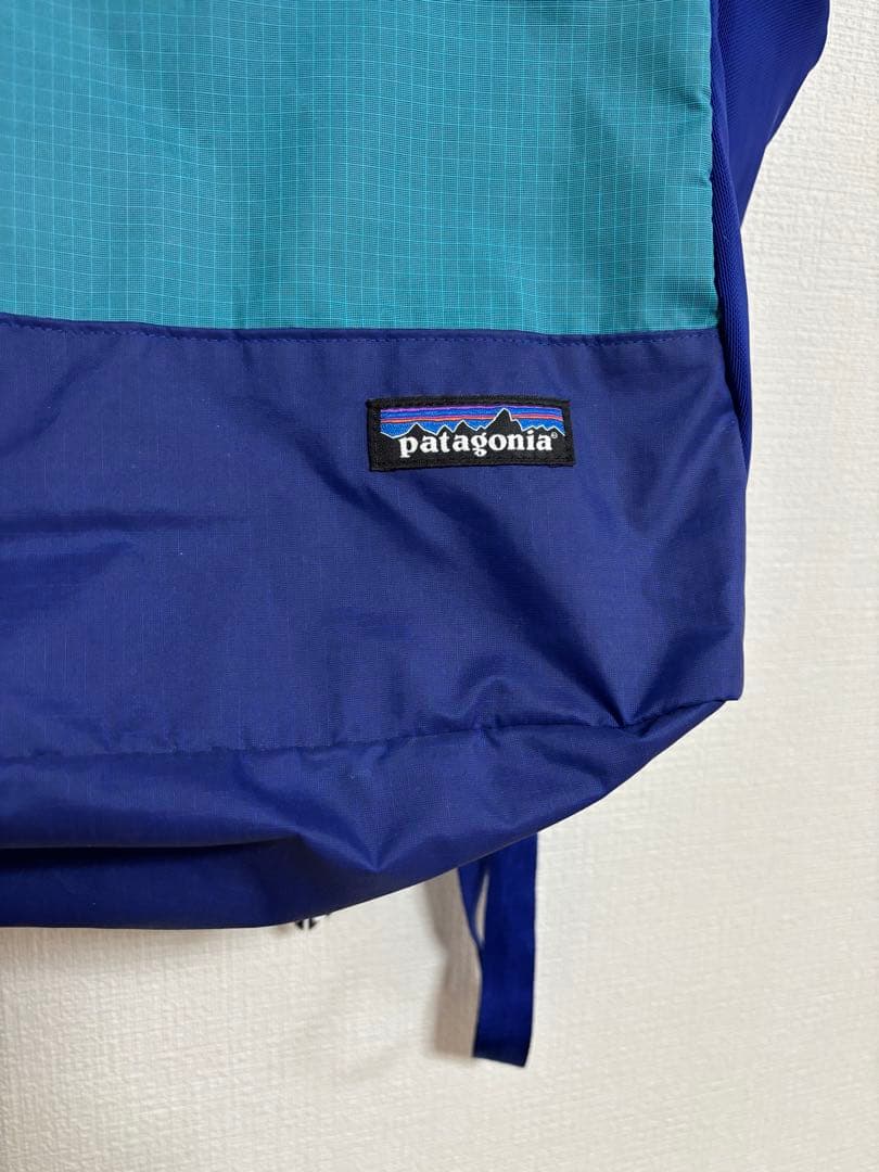 ✨美品　patagonia ウルトラライトブラックHole Tote Pack