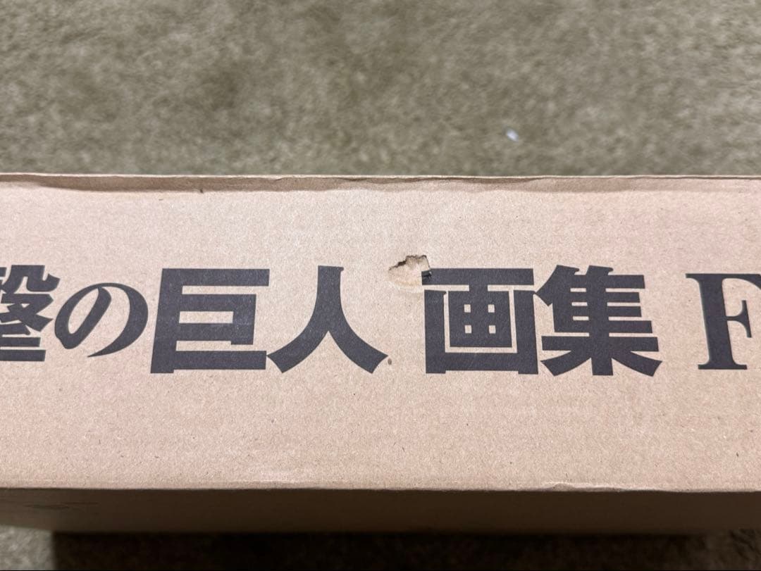 進撃の巨人 画集 FLY 欠品なし