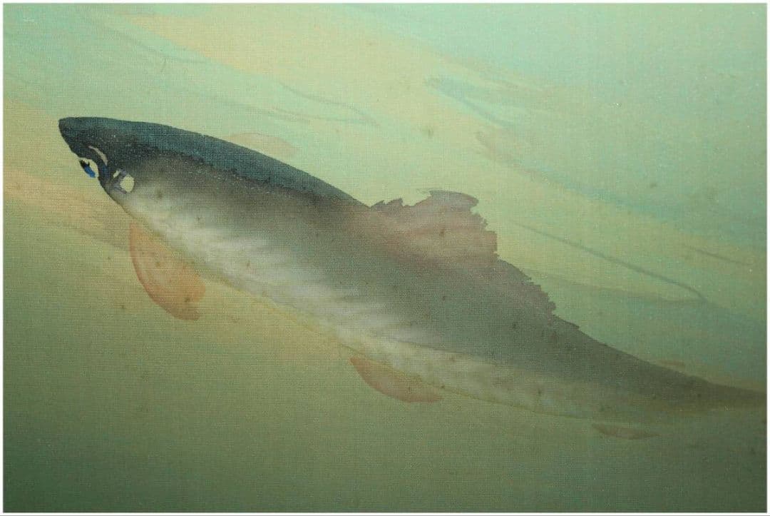 【真作 巨匠名品】登里鮎図（二重箱） 京都画壇・山元春挙