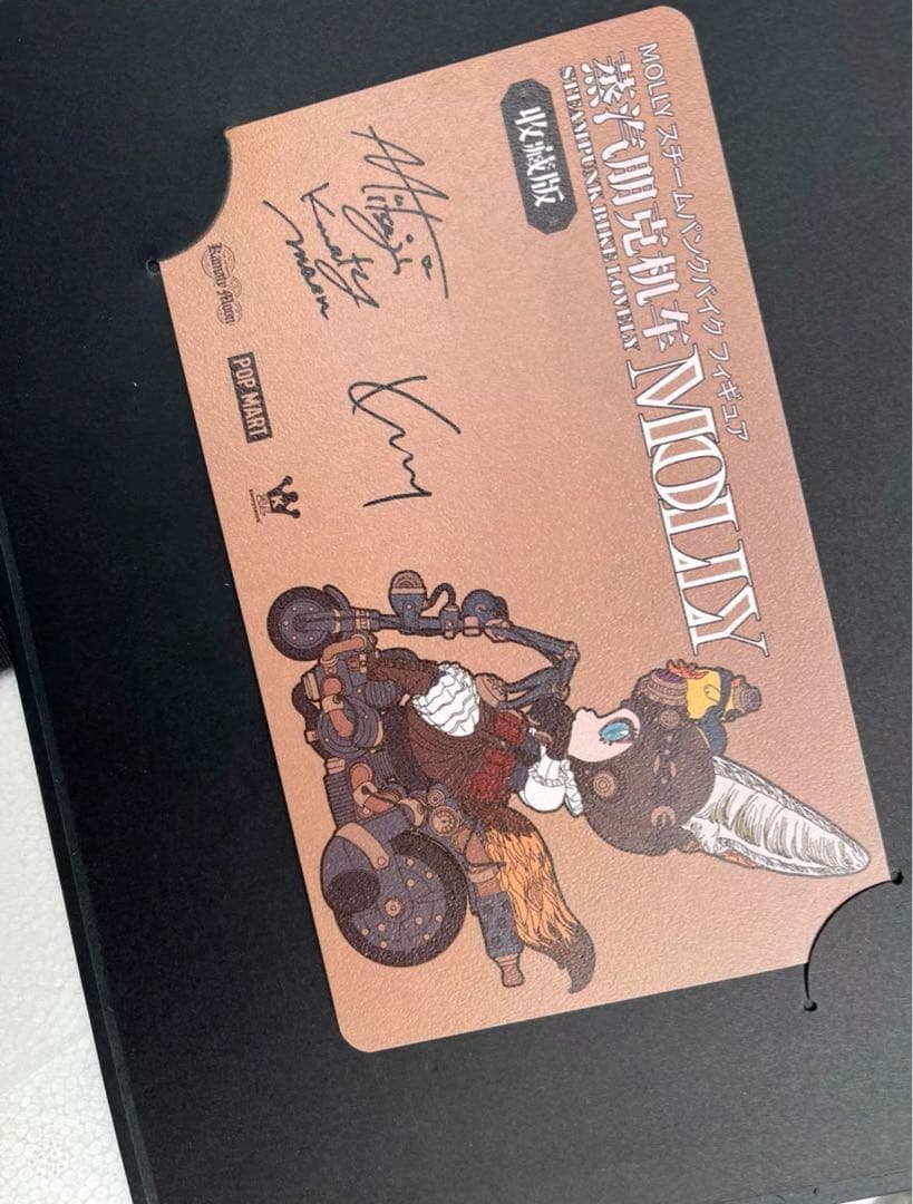 デザイナーズトイ 末那末匠 ポップマート  Molly フィギュア A