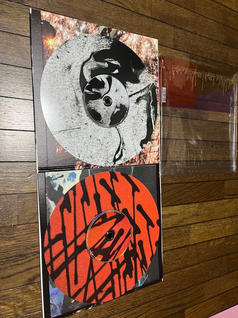 Mr.Children miss you TOUR 2023/24 （DVD）