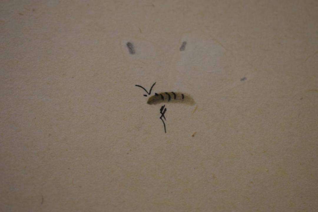 真作/松陽/なの花画賛/桐共箱付/布袋屋掛軸HG-822