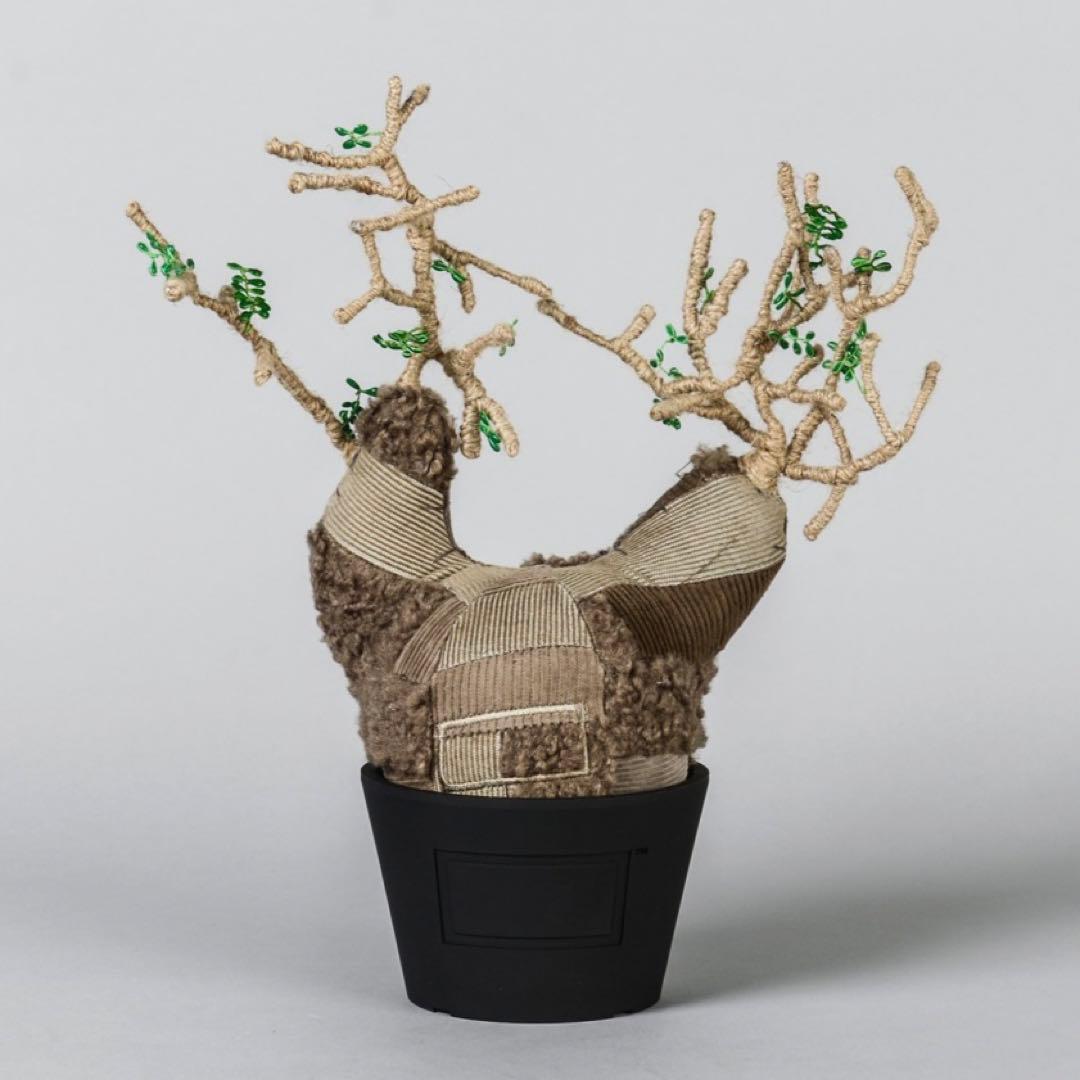 ぬいぐるみ Botanize Pachypatchy Large size