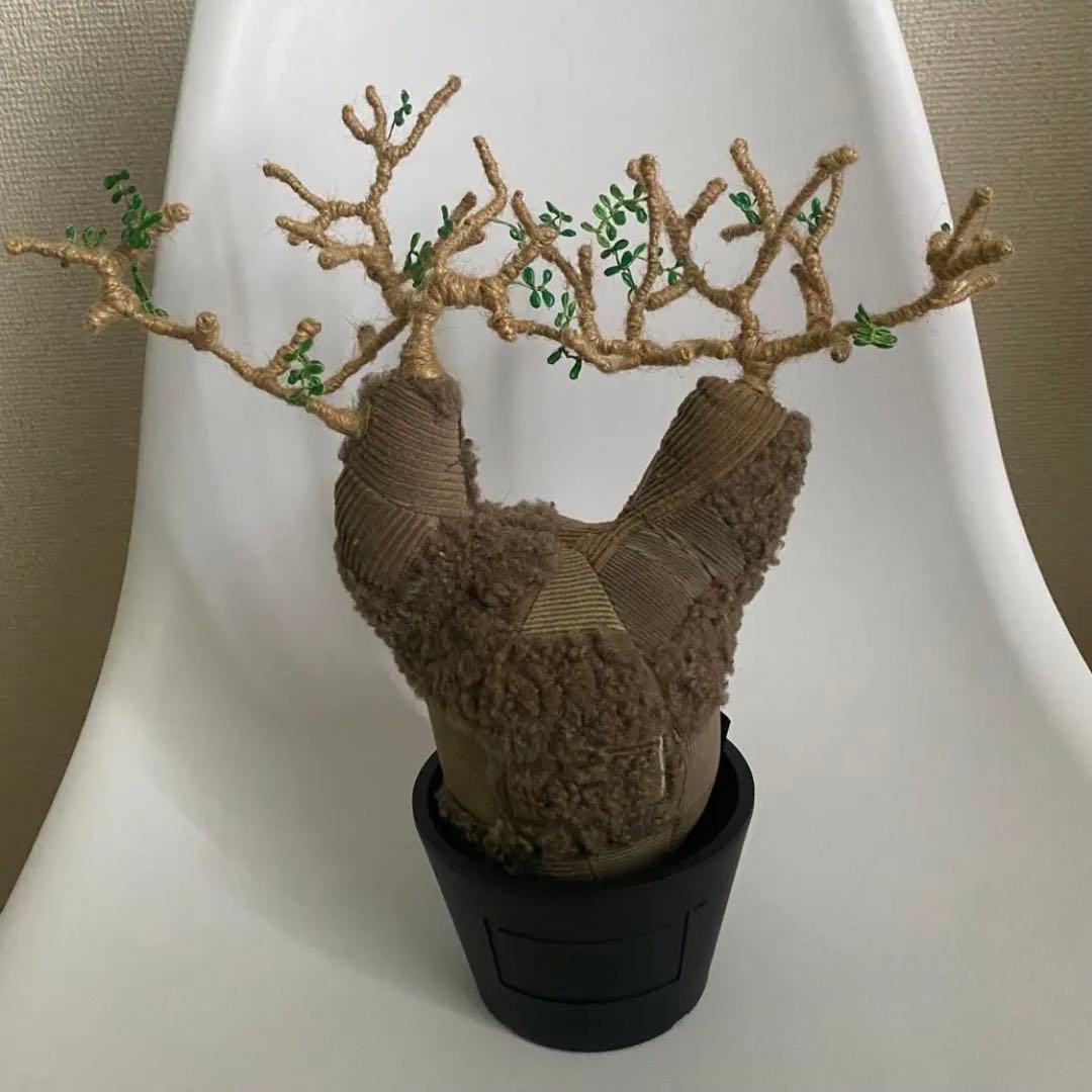 ぬいぐるみ Botanize Pachypatchy Large size