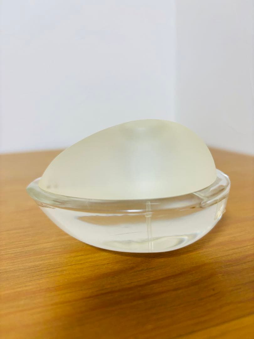 TAN GIUDICELLI アンナム 香水　50ml