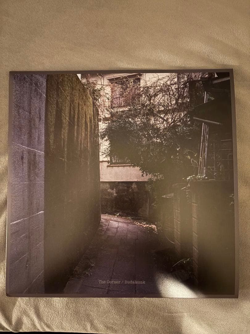 The Corner / BudaMunk レコード