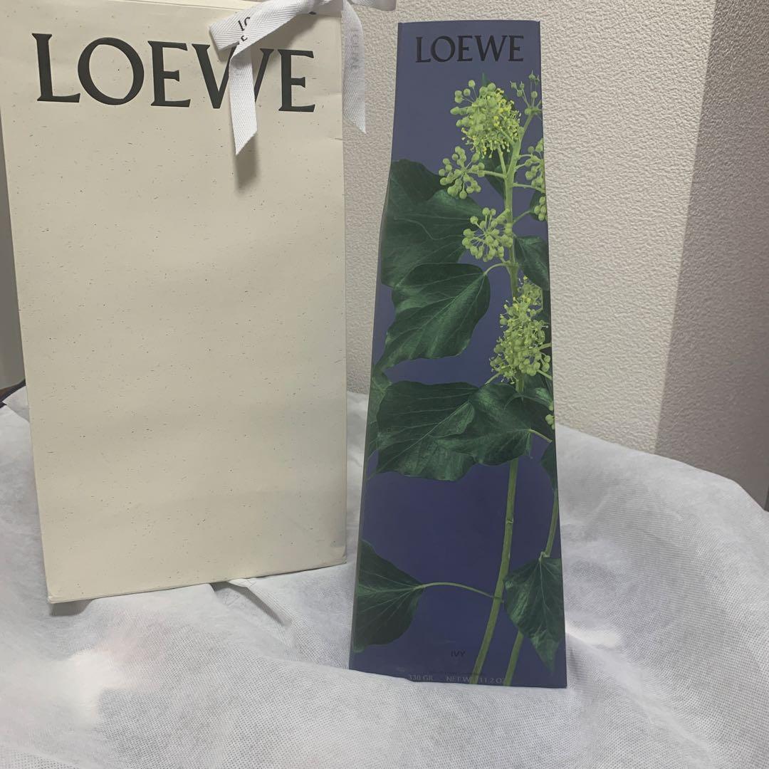 箱破損有り…未使用品 LOEWE ロエベ アイビー ワックス キャンドル