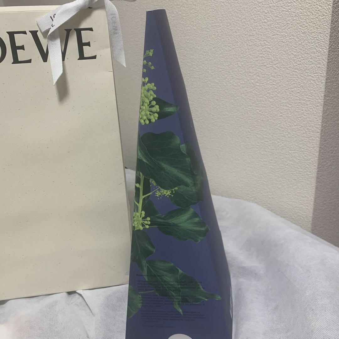 箱破損有り…未使用品 LOEWE ロエベ アイビー ワックス キャンドル