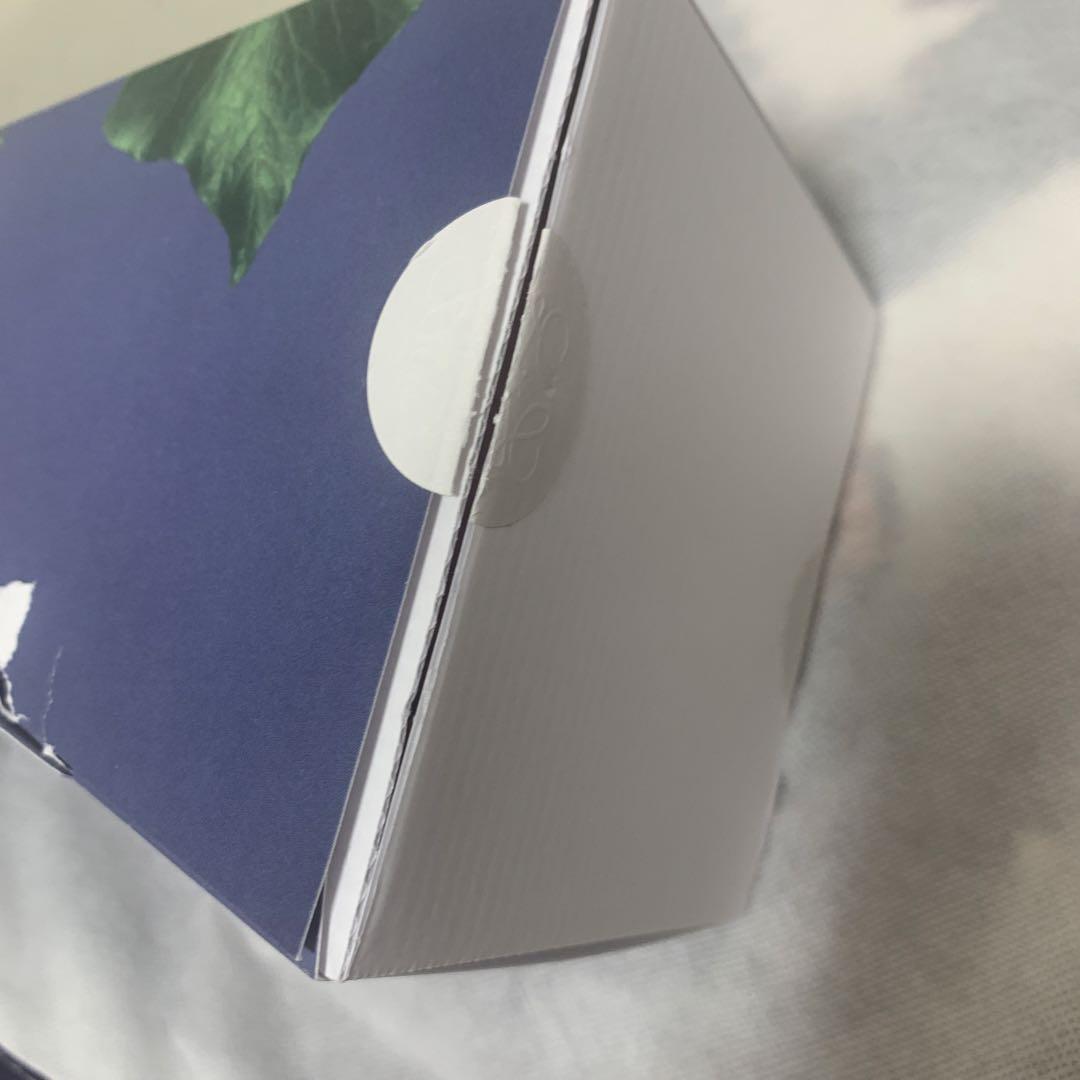 箱破損有り…未使用品 LOEWE ロエベ アイビー ワックス キャンドル