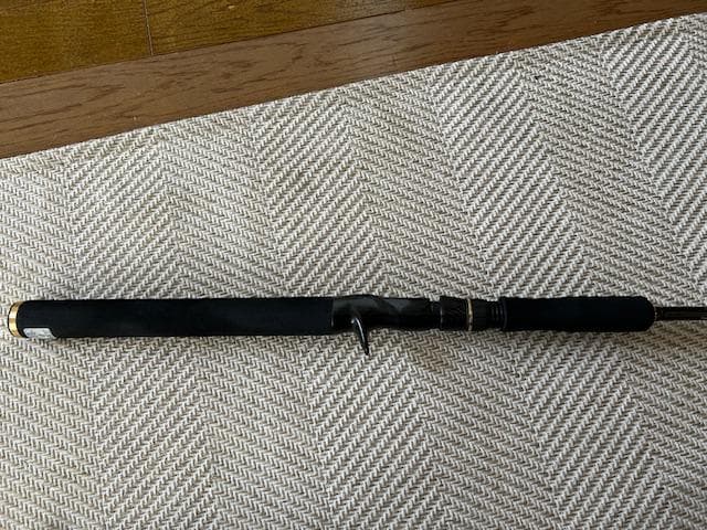 希少 オールダブルフットガイド メガバス デストロイヤー F4-66 HT800