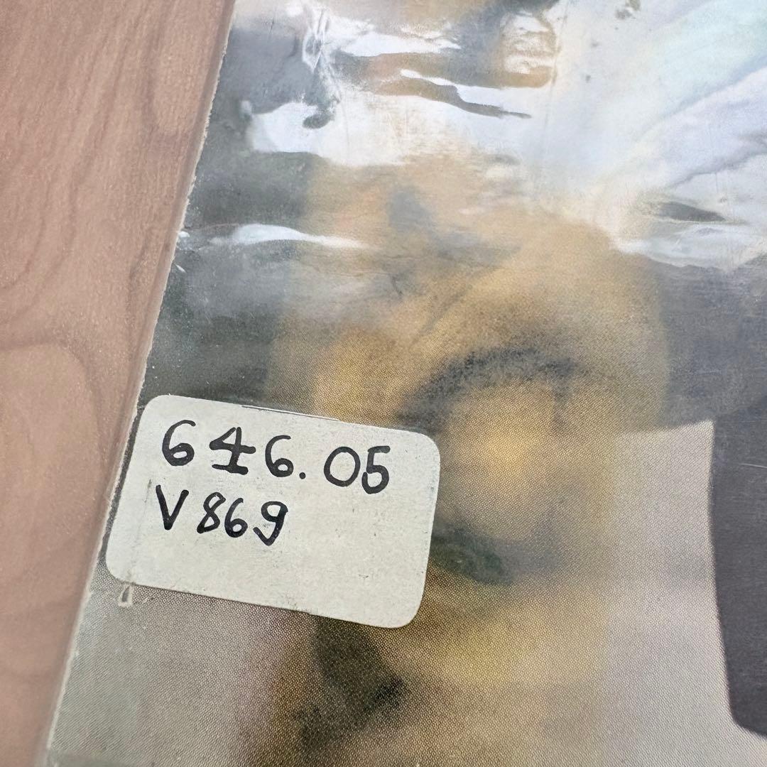 【洋書・希少】ヴィンテージ VOGUE ファッション特集 646.05 V869