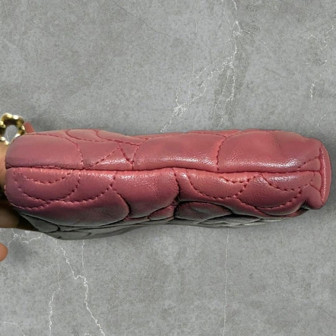 バッグ CHANEL camellia chain leather party bag