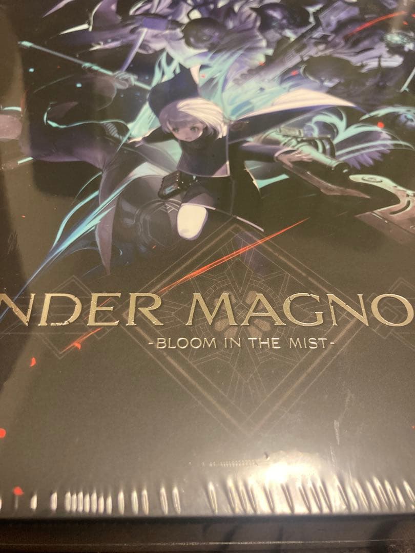 エンダーマグノリア Switch 限定版