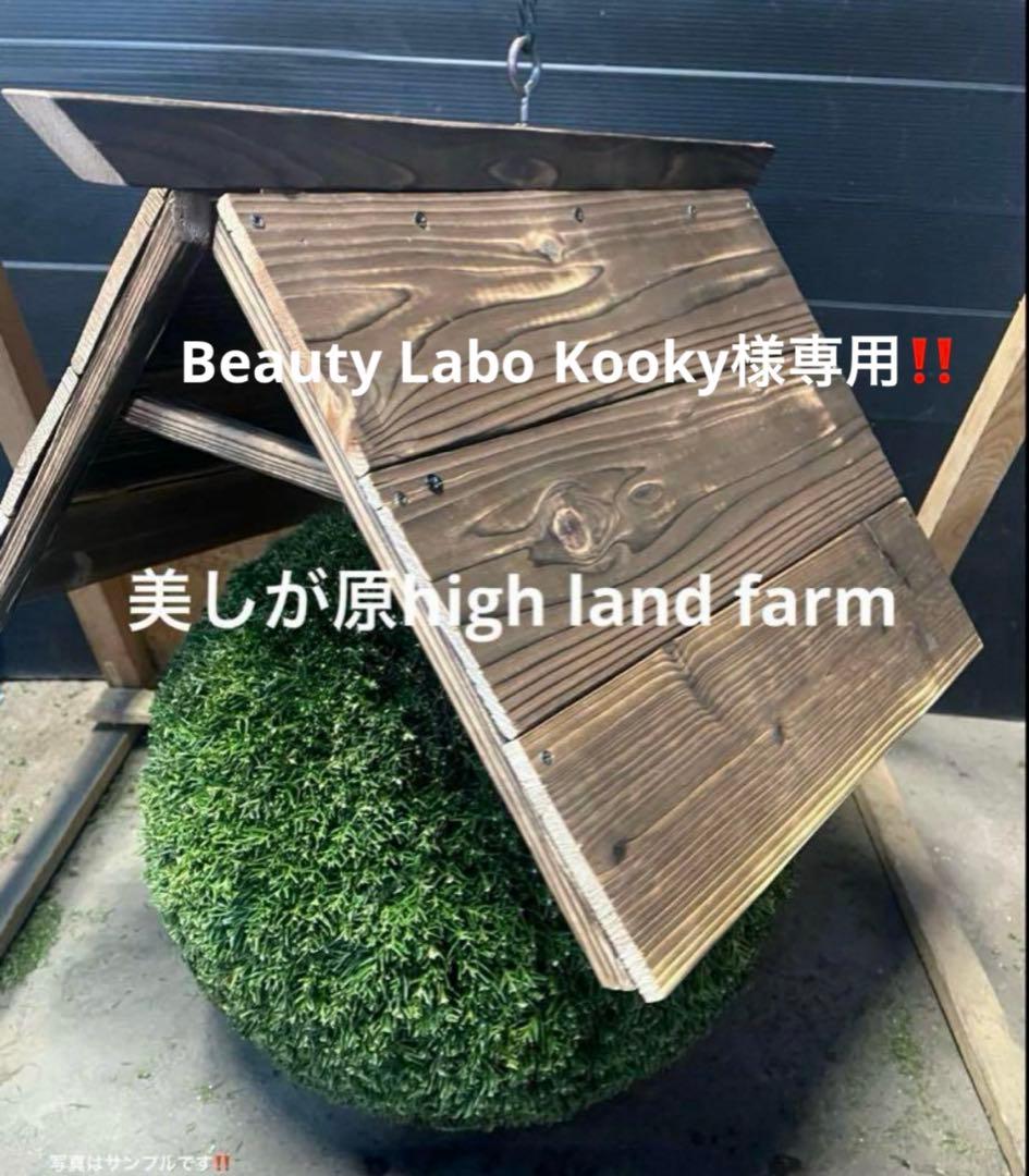 杉玉　約50センチ‼️１２月２０日以降の発送　ご希望　ワイヤーで　お客様ご注文品‼️