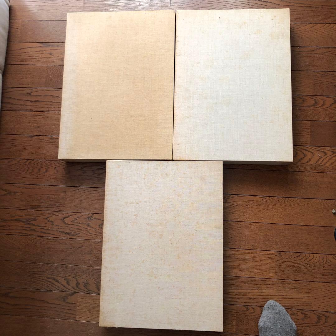 ミケランジェロ素描全集3巻