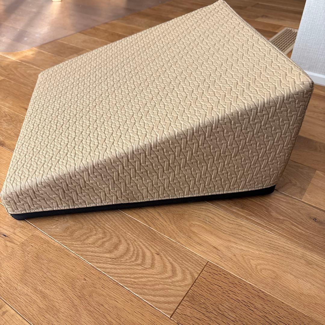 サンテプラス：フレックスクッション　Flexcushionベージュ