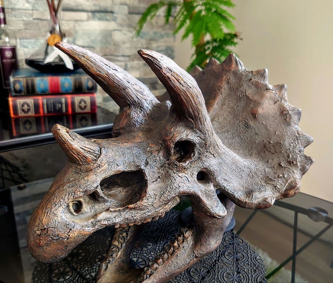 【DINOWORLD】トリケラトプス 頭骨レプリカ ※箱無し