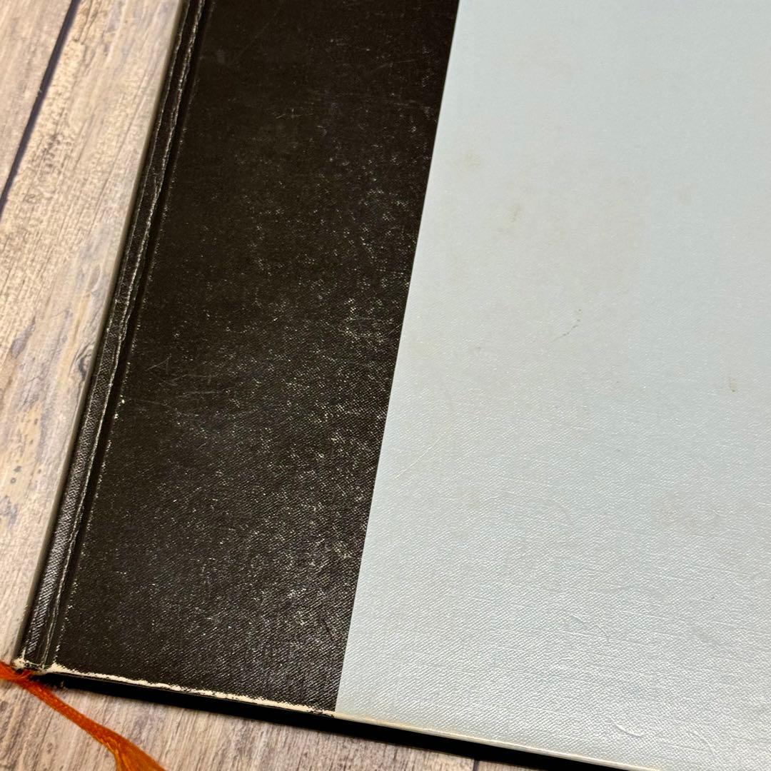 【希少】魔法のオレンジの木