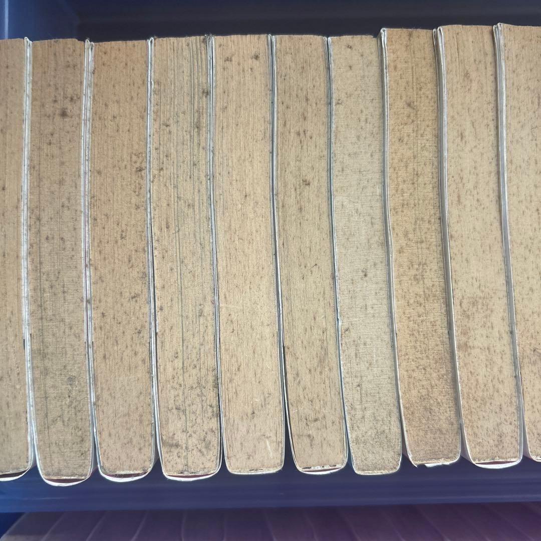 のぞみウィッチィズ　48冊　全巻セット　野部利雄