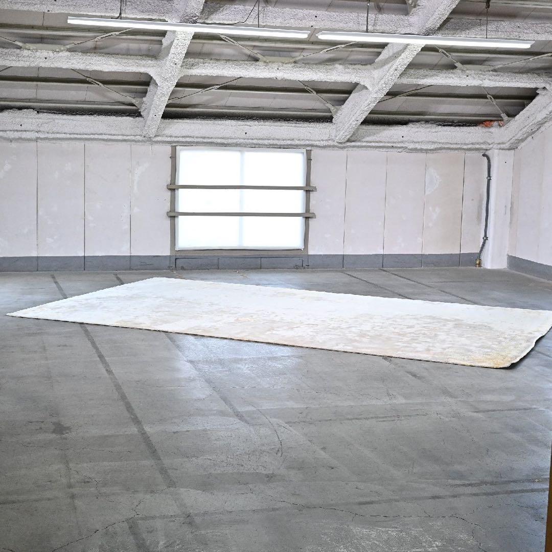 引取り限定Minotti 107万DIBBET ドルドーニ ラグ