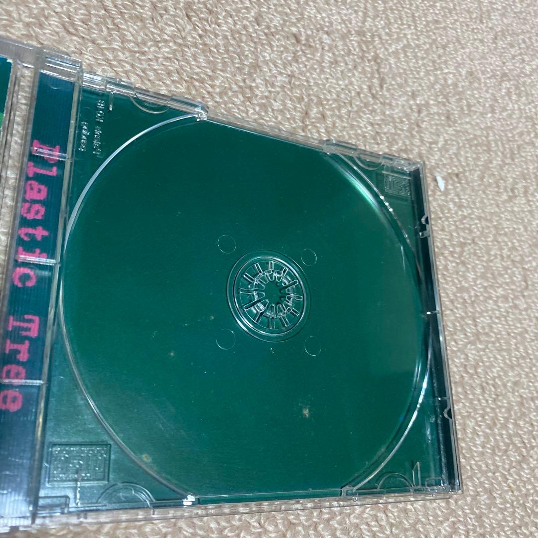 plastic tree「Strange fruits」初回限定盤