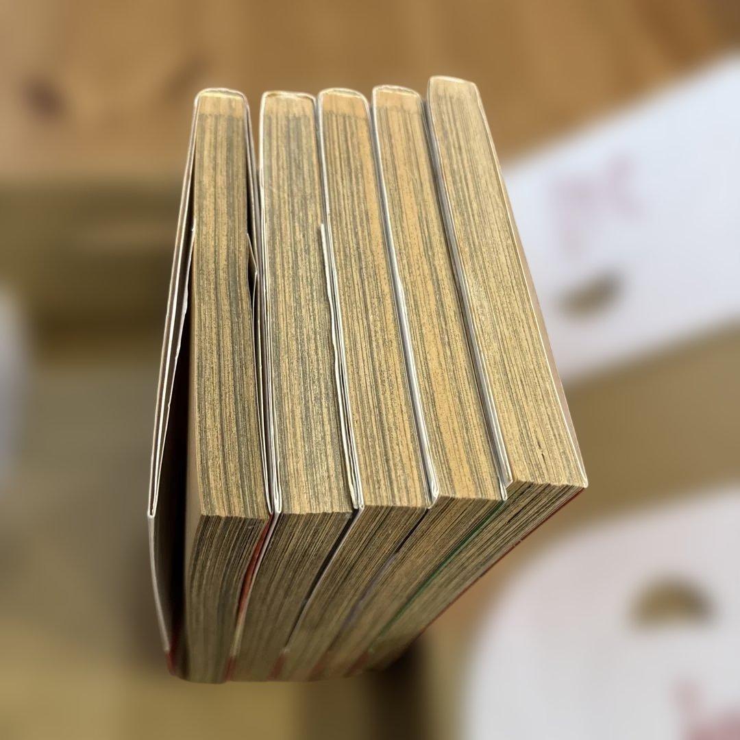 アマテラス　5冊セット　美内すずえ