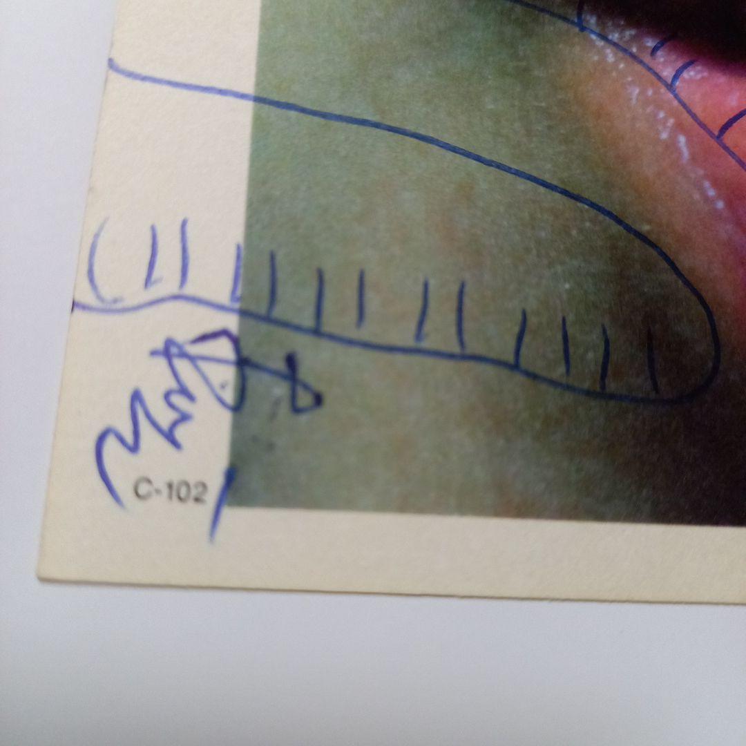 安楽寺えみ写真集　洋書　e hagaki　限定500部　直筆サイン.イラスト入り