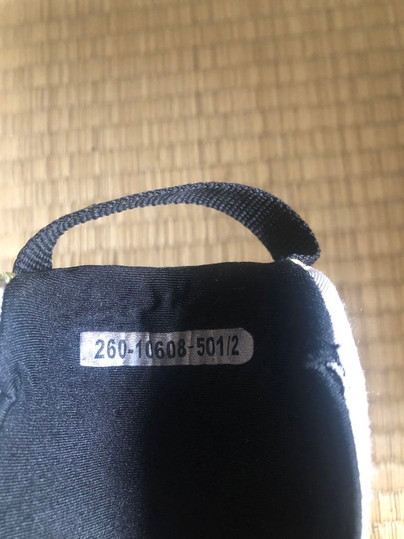 Scarpa t2eco テレマーク