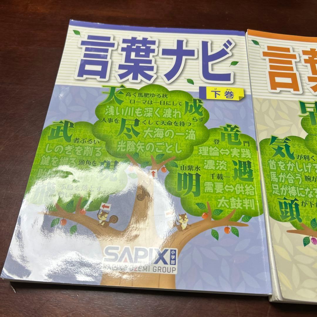 22-20ち　重要教材　サピックス　SAPIX 言葉ナビ 上巻・下巻セット