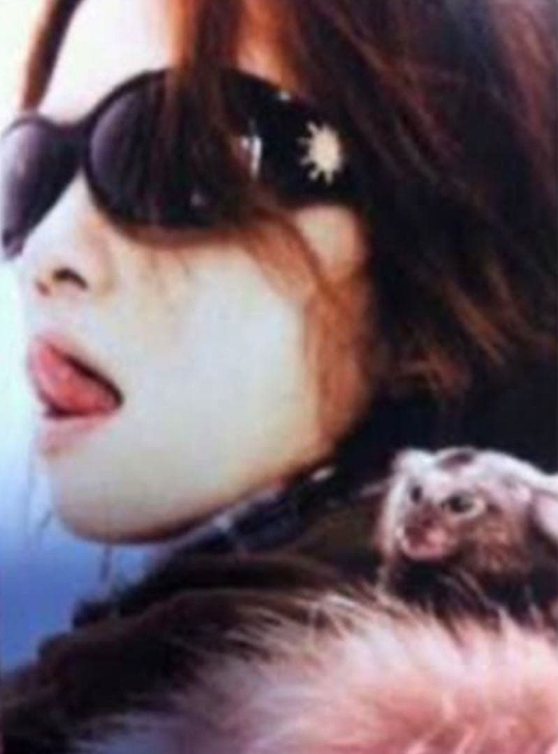 ヴィンテージ hyde着 ティファニーサングラス TF 4005-G