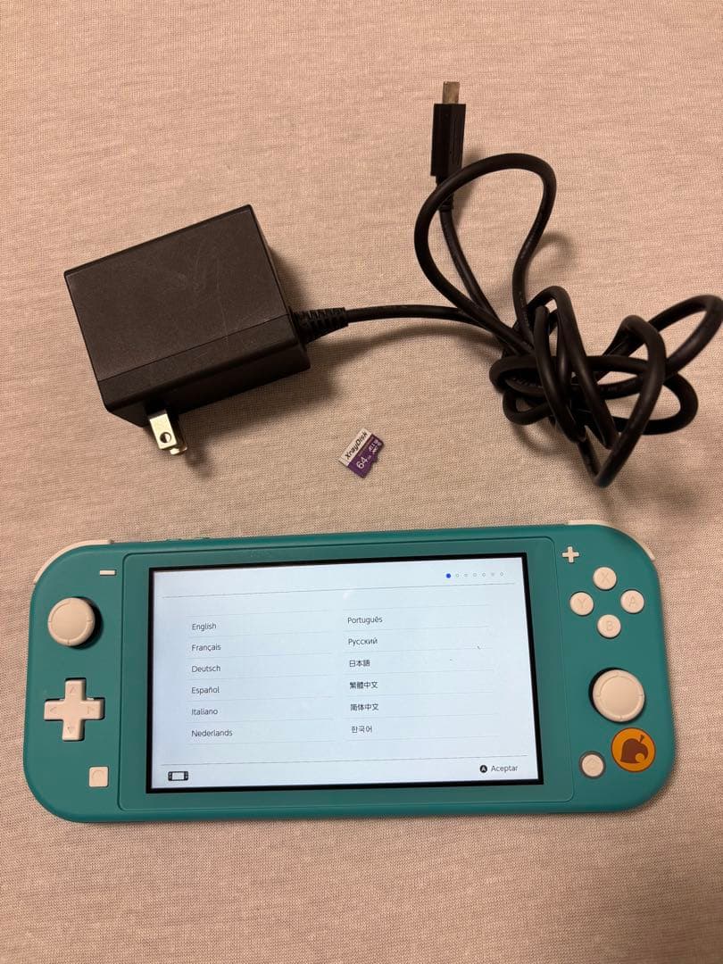 Nintendo Switch Lite どうぶつの森　ターコイズ 充電器付き