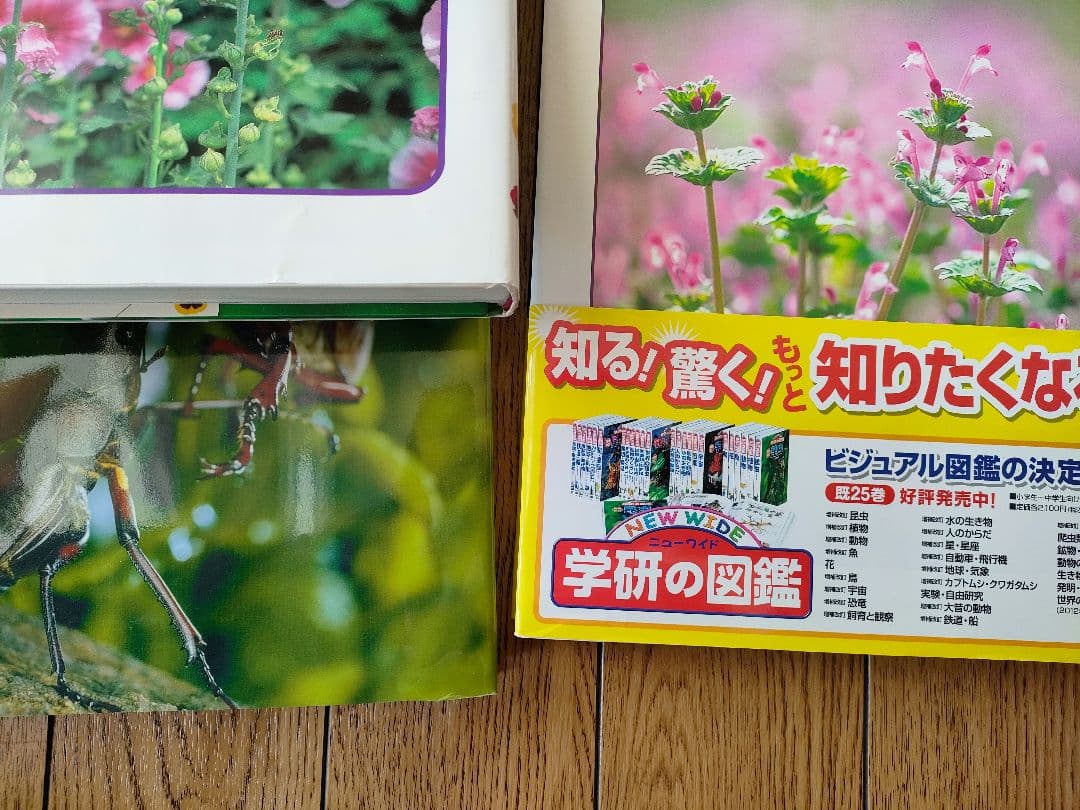 学研の図鑑 11冊セット 付録付き