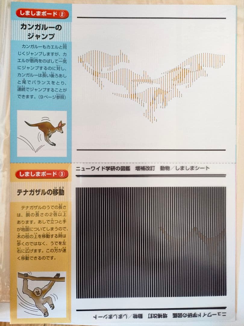 学研の図鑑 11冊セット 付録付き