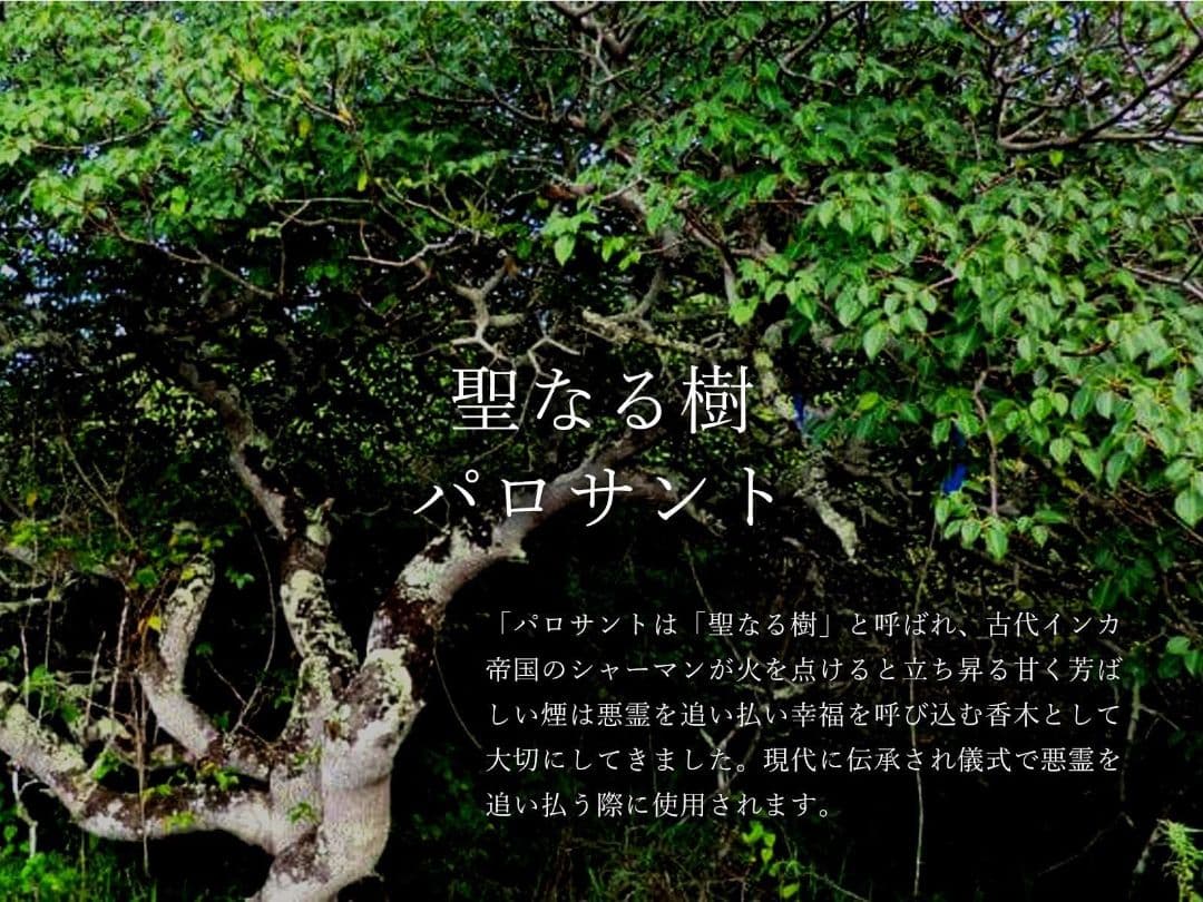 1kg★激安ご奉仕★希少☆神秘的な香り【聖なる樹バロサント香ウッドフレーク】…