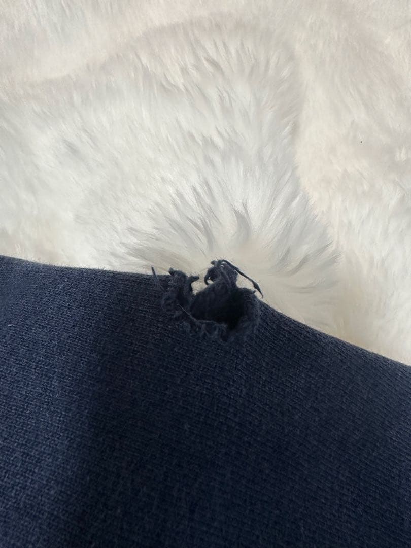 90s champion チャンピオン リバースウィーブ トリコタグ