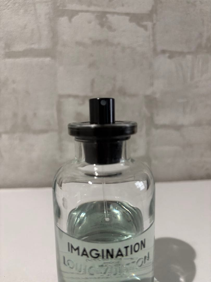 ごえLouis Vuitton IMAGINATION DIOR